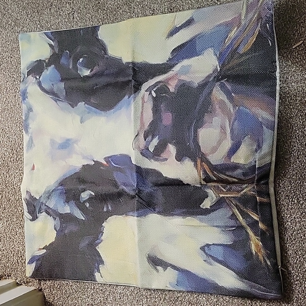 17 x 17 zippered  throw pillow cover